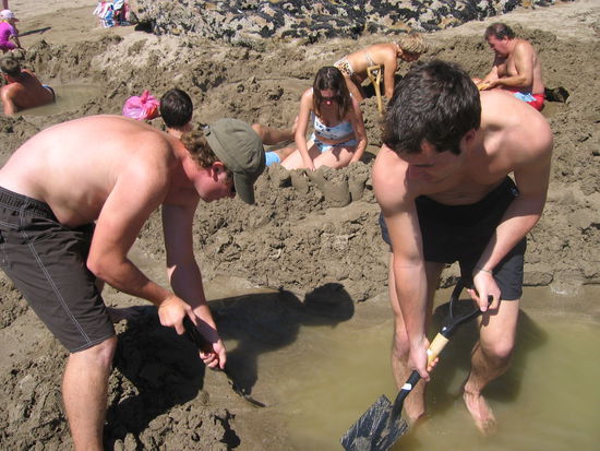 Toli und Boris bei der Arbeit