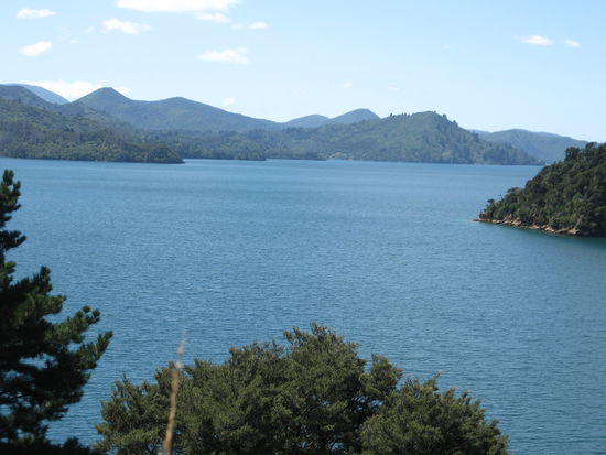 Blick auf den Queen Charlotte Sound