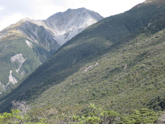 Blick auf den Avalanche Peak