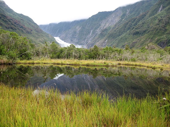 Blick auf den Franz Josef Gletscher