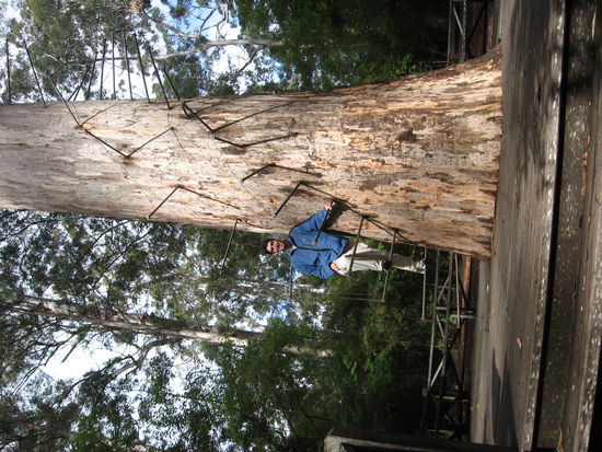 Diese Hoehe war noch in Ordnung