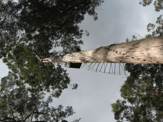 Wer ist schwindelfrei?