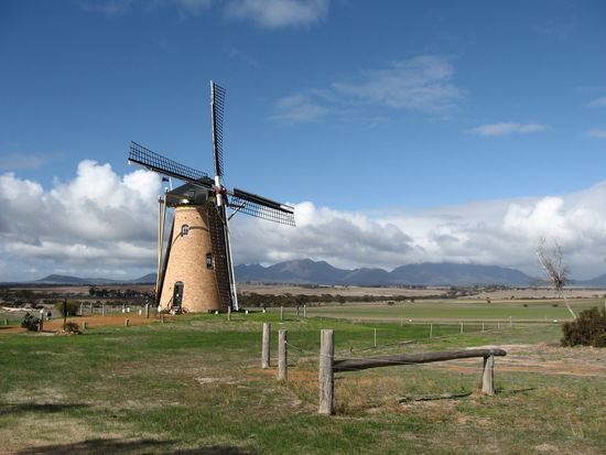 Lily's Wind Mill