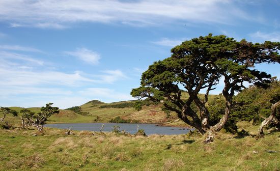 Insel Pico - am Lago de Capitao