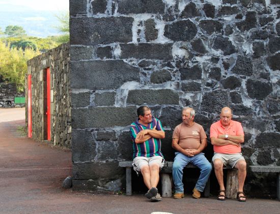 Bei Santa Luzia an der Nordküste wandern wir entlang der Weinfelder, die durch Mauern aus Lavagestein untereilt sind. 
Im malerischen Ort Lajido mit Häuschen aus Lavagestein machen wir eine kurze Pause. Auch hier begegnet man nur wenigen Menschen; von einem kleinen Kneipchen aus hat man auf der einen Seite den Blick zum Vulkan Pico und in die andere Richtung zum Meer.