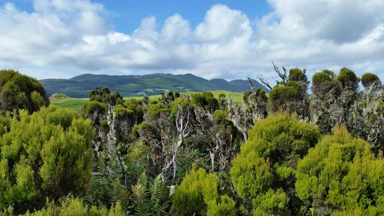 Wanderung auf Terceira