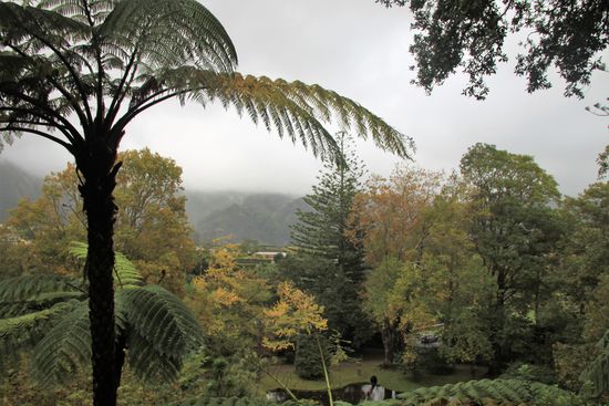 Im Park von Furnas