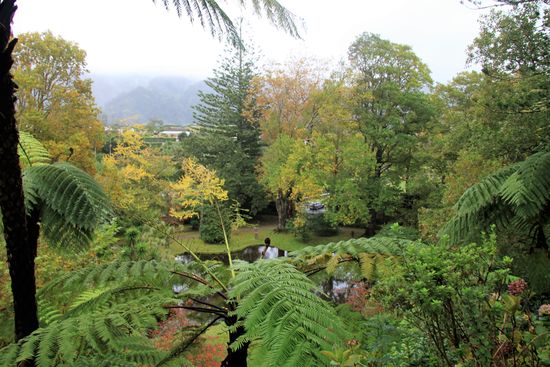 Im Park von Furnas