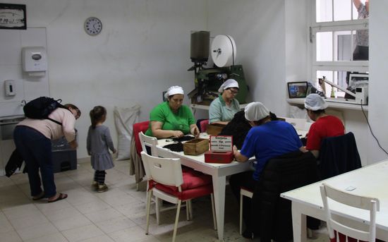 Bei der Tee-Aufarbeitung