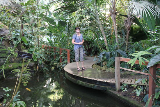 Im Botanischen Garten im Mae-Sa-Valley