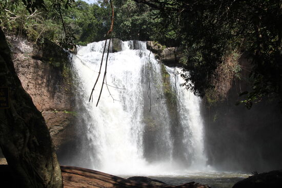 Im Khao-Yai- Nationalpark