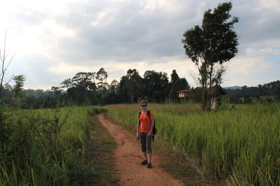 Im Khao-Yai-Nationalpark