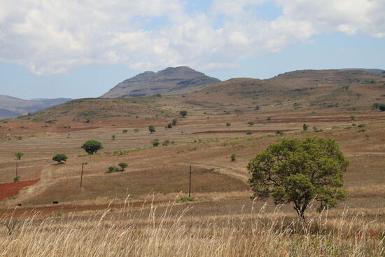 Auf der Fahrt zur Panorama-Route; Südafrika