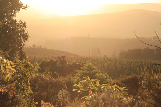 Sunset am "God`s Windows"; Panorama-Route
