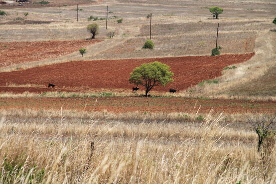 Auf der Fahrt zur Panorama-Route; Südafrika