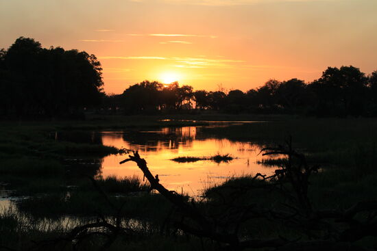 Blick von unserem Zelt im Okawango-Delta