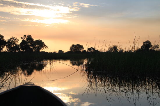 Bootstour auf dem Okawango