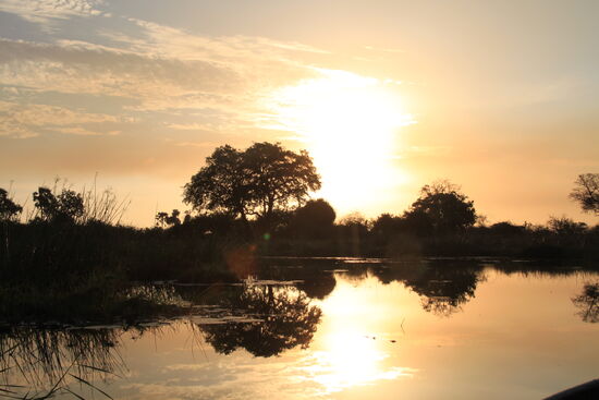 Bootstour auf dem Okawango