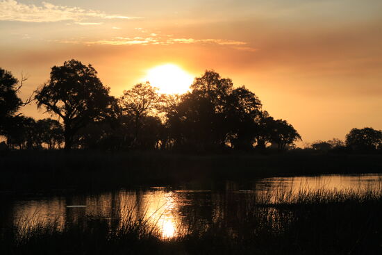 Bootstour auf dem Okawango
