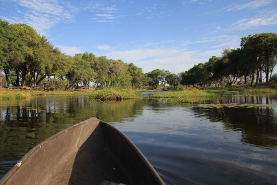 Bootstour auf dem Okawango