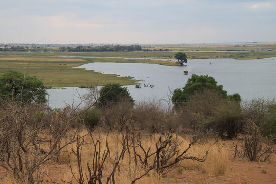 Chobe-River