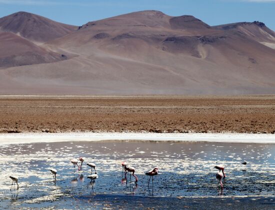 Fahrt über die Anden