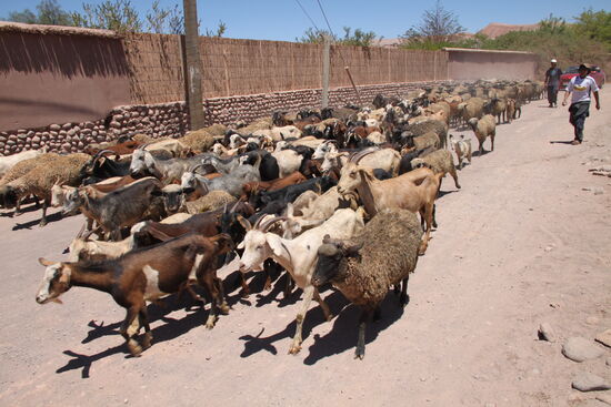 San Pedro de Atacama