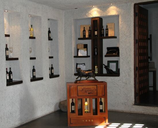 In einer Bodega in Cafayate