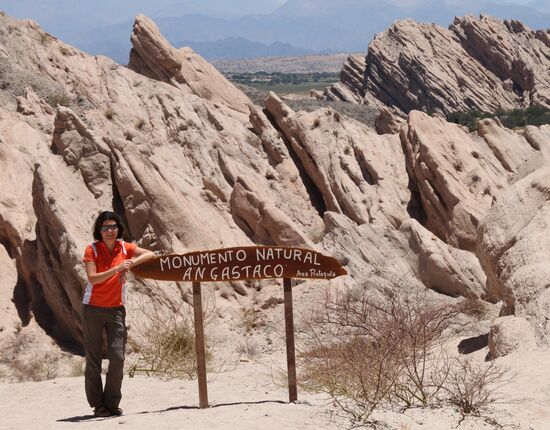 Von Cafayate nach Salta