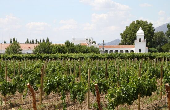 Weinland um Cafayate