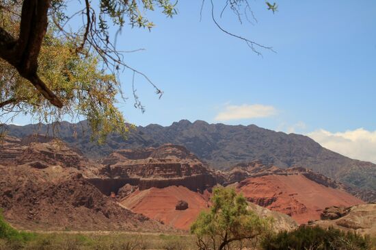 Von Cafayate nach Salta