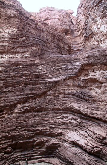Von Cafayate nach Salta