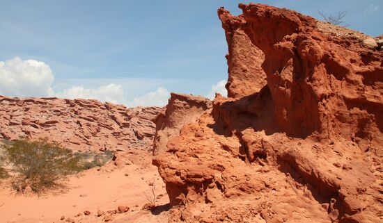 Von Cafayate nach Salta