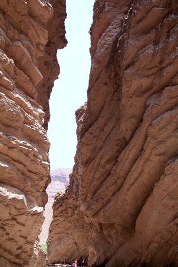 Von Cafayate nach Salta