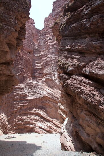 Von Cafayate nach Salta