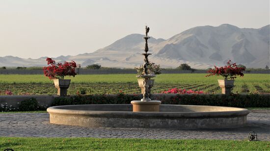 Weingut "Vinas Queirolo"