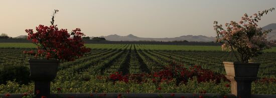 Weingut "Vinas Queirolo"
