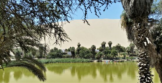Im Hintergrund die Sanddünen von Huaccachina