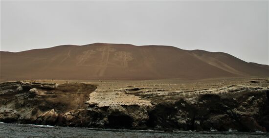Felszeichnungen "Candelabro de Paracas"
