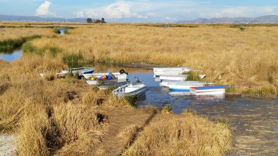 Ausläufer des Titicaca-Sees