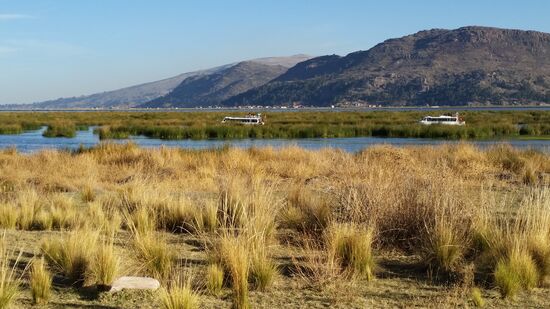 Ausläufer des Titicaca-Sees