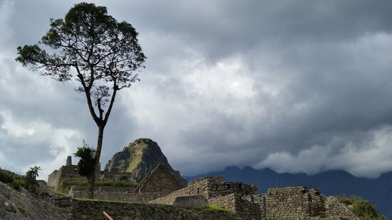Machu Picchu