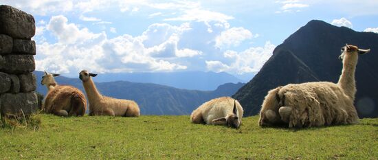 Machu Picchu
