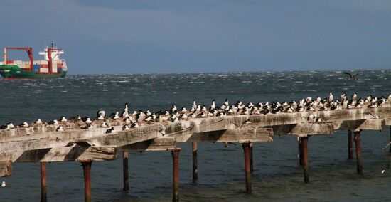An der Magellan-Straße