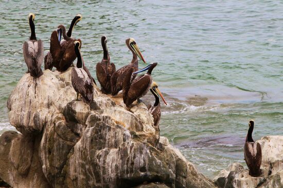 Stadtbummel in Valparaiso