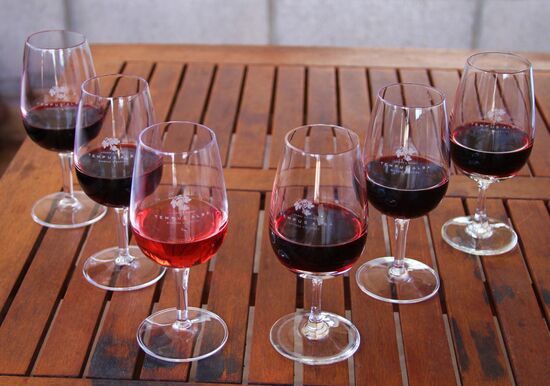 Radtour zu den Weingütern in der Region Mendoza