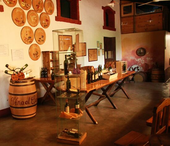 Radtour zu den Weingütern in der Region Mendoza