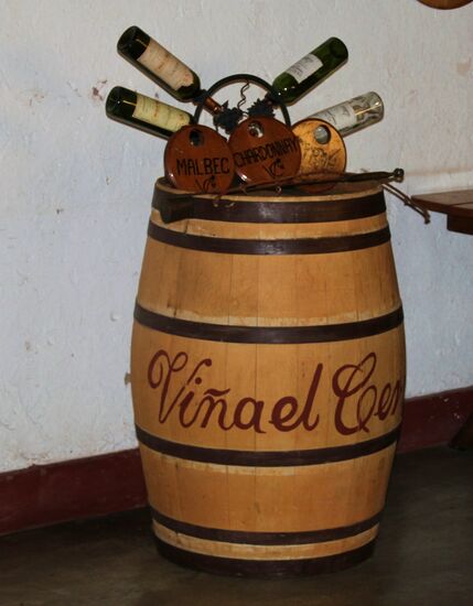 Radtour zu den Weingütern in der Region Mendoza