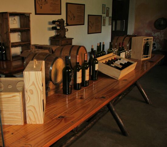 Radtour zu den Weingütern in der Region Mendoza