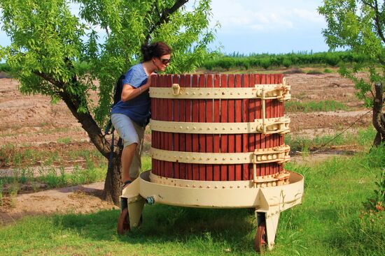 Radtour zu den Weingütern in der Region Mendoza